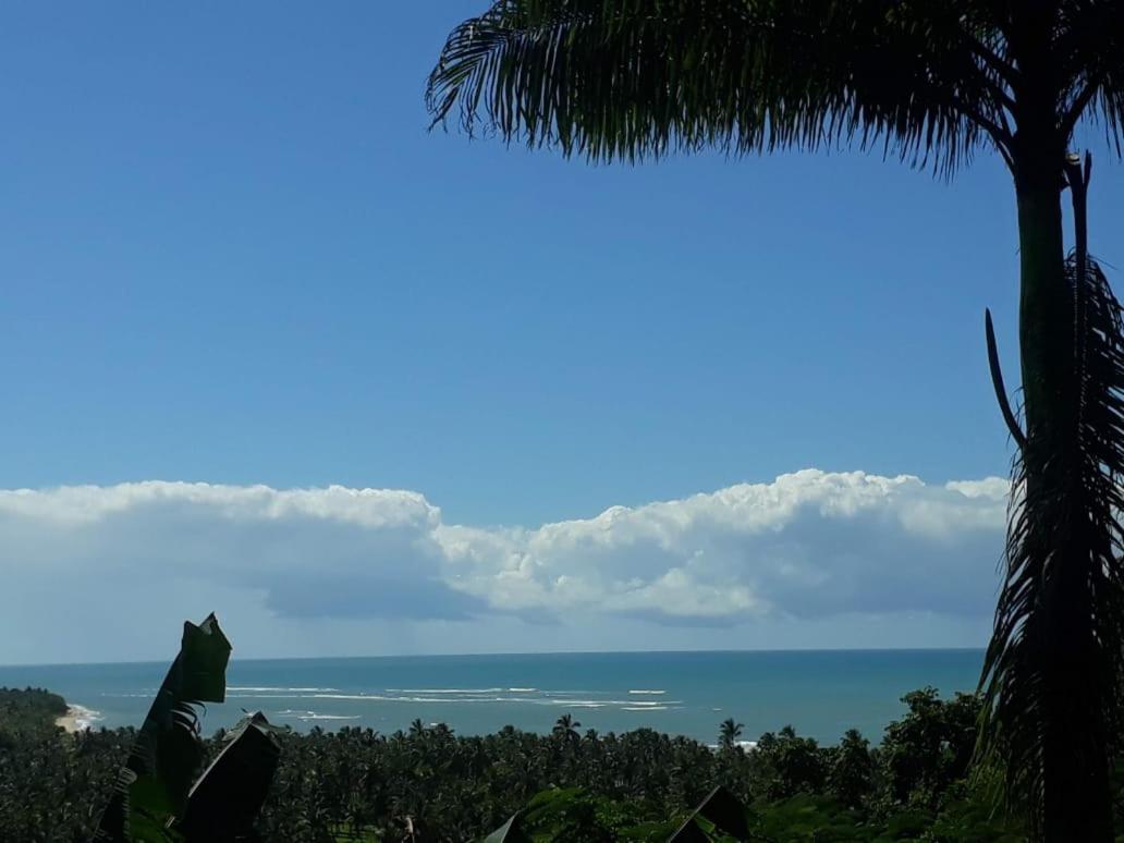 Tubarao 2*